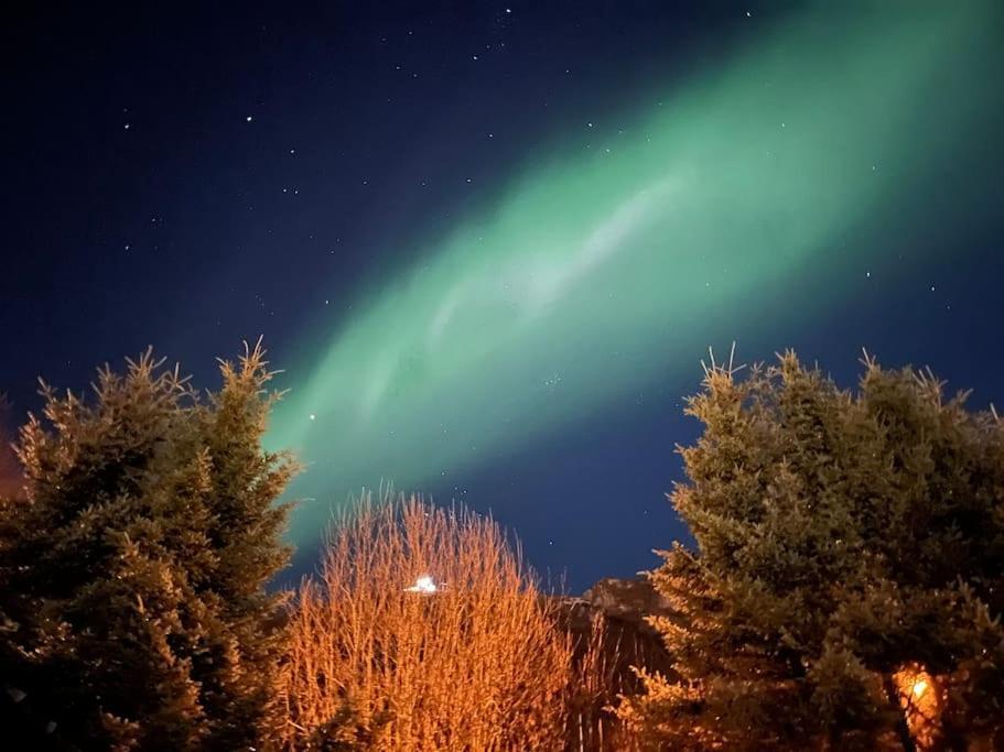 Cosy Flat Near Cable Car And The Arctic Cathedral Apartment Tromso Luaran gambar