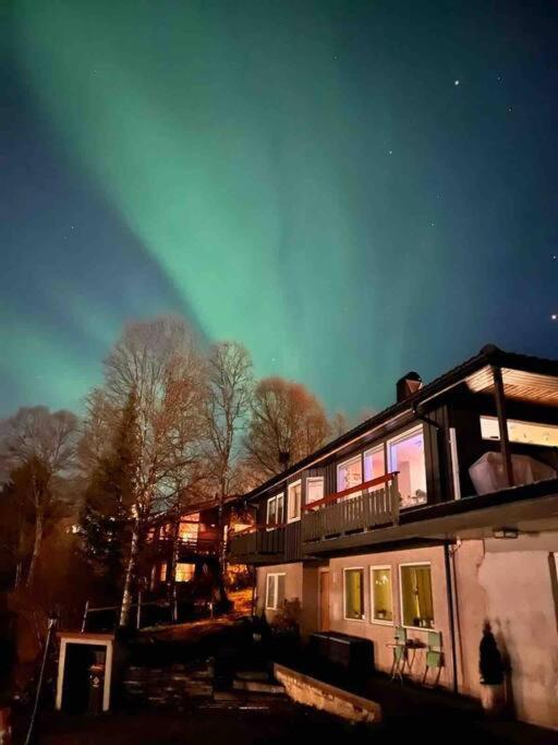 Cosy Flat Near Cable Car And The Arctic Cathedral Apartment Tromso Luaran gambar